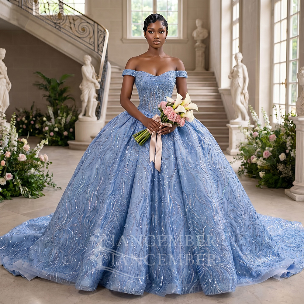 Embroidery Organza - Abito da Quinceañera blu personalizzato con