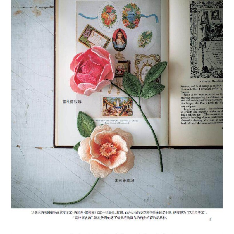 Libro sul ricamo 3D: guida pas - Embroidery World recensione e prezzo