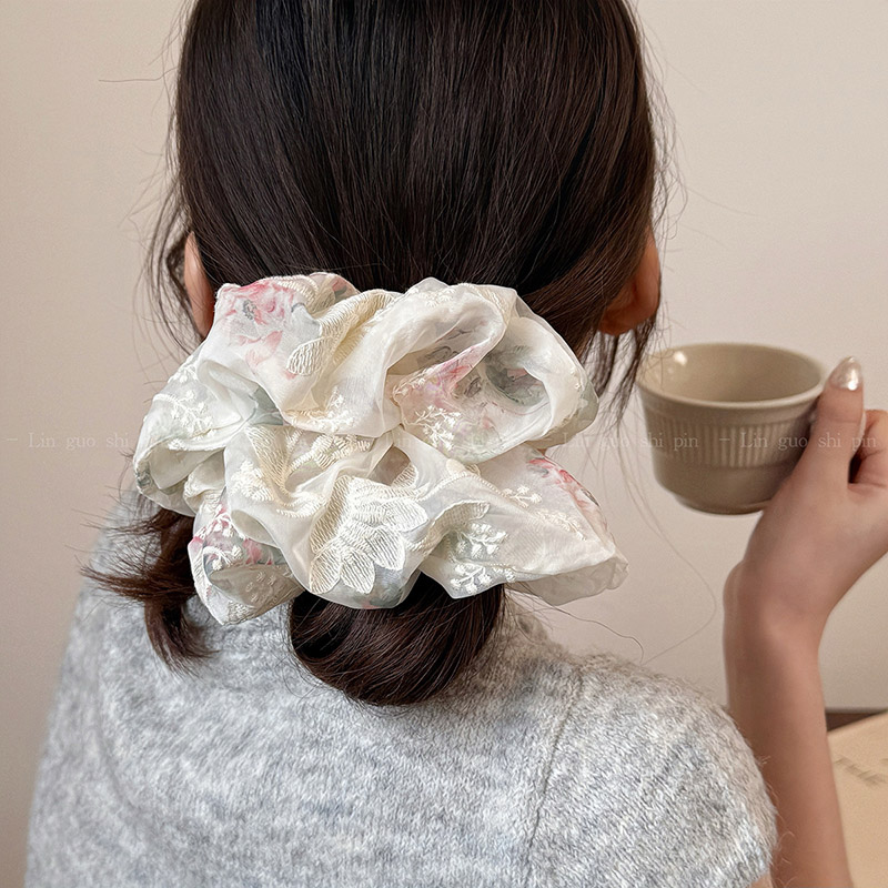 Eleganti elastici per capelli  - Embroidery Organza recensione e prezzo